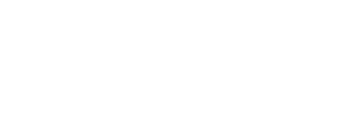 RayOne Trifocal Toric